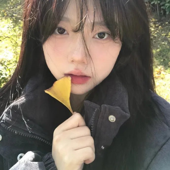 用户头像